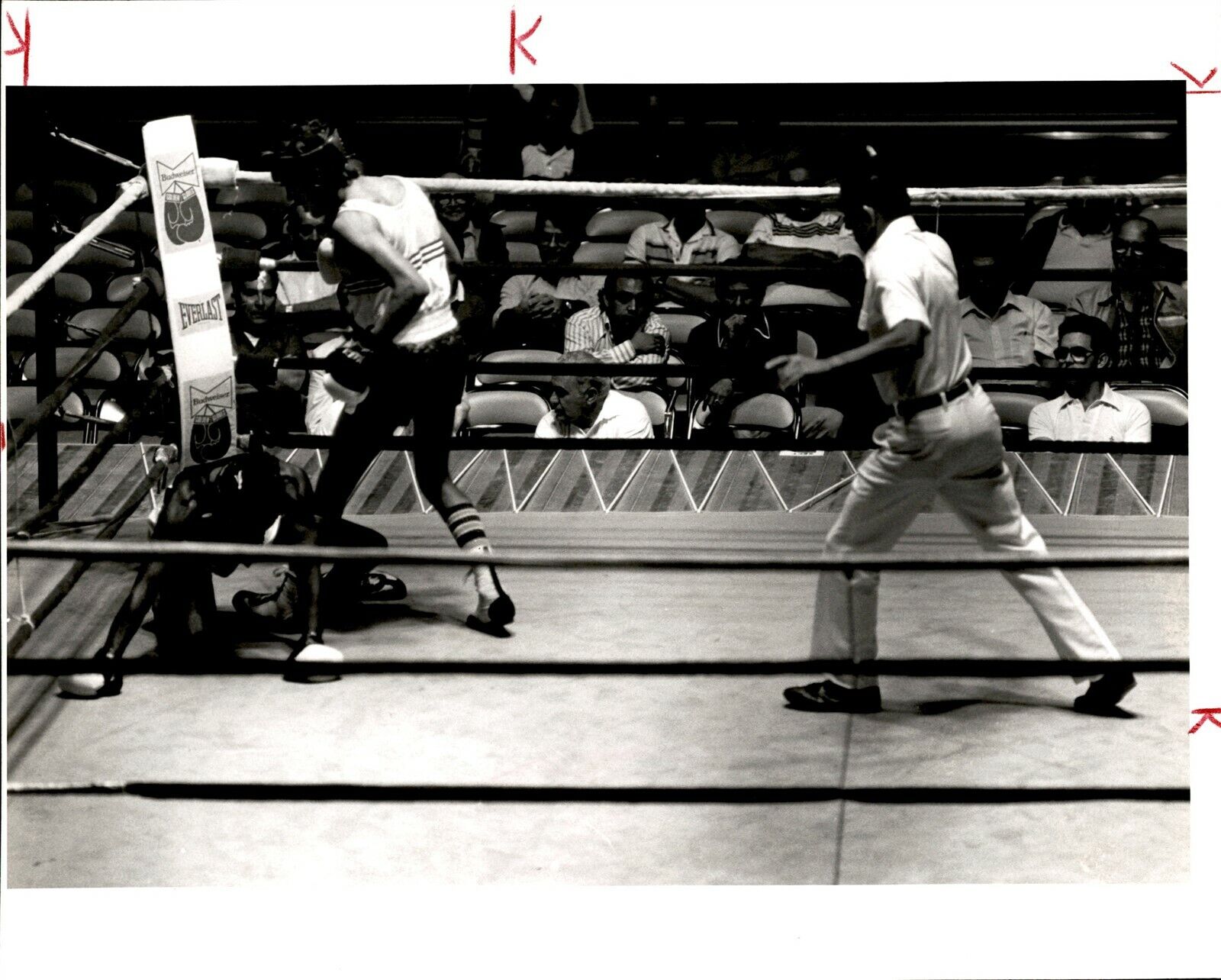 LG908 1984 Original Photo GOLDEN GLOVES BOXING KNOCK OUT ACTION Fighter Down