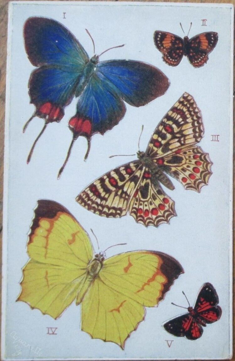 Mechanical Novelty 1910 Raphael Tuck Postcard, Butterfly Fold Out Paper Doll