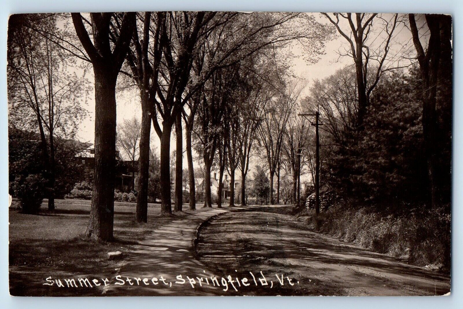 Springfield Vermont VT Postcard RPPC Photo Summer Street Trees c1910\'s Antique