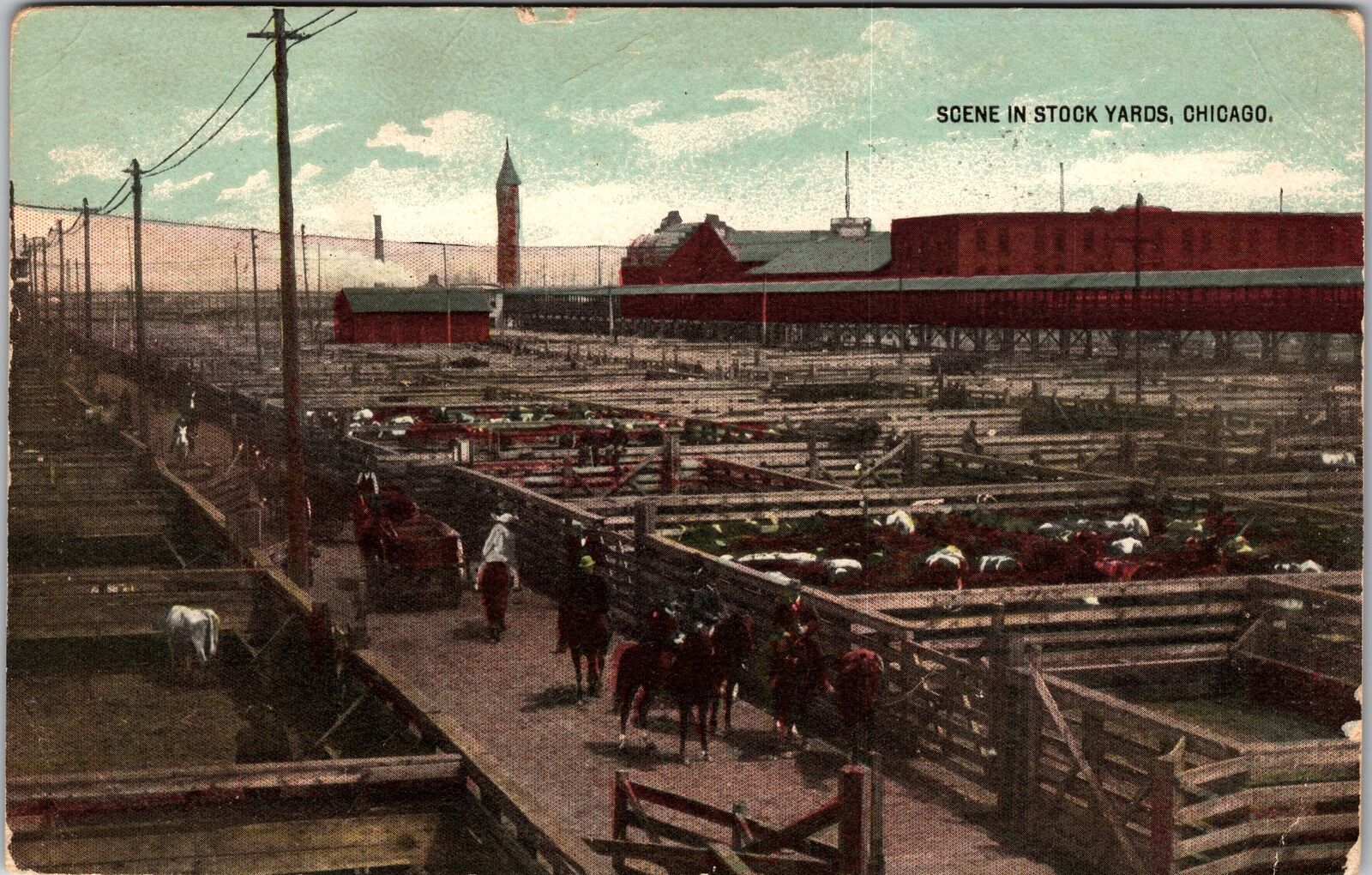 Chicago IL-Illinois, Scene in Stock Yards, Vintage Postcard