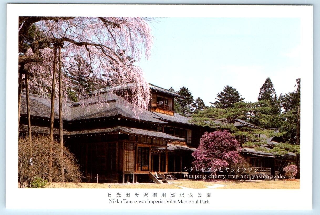 Nikko Tamozawa Imperial Villa Memorial Park cherry blossoms JAPAN 4x6 Postcard