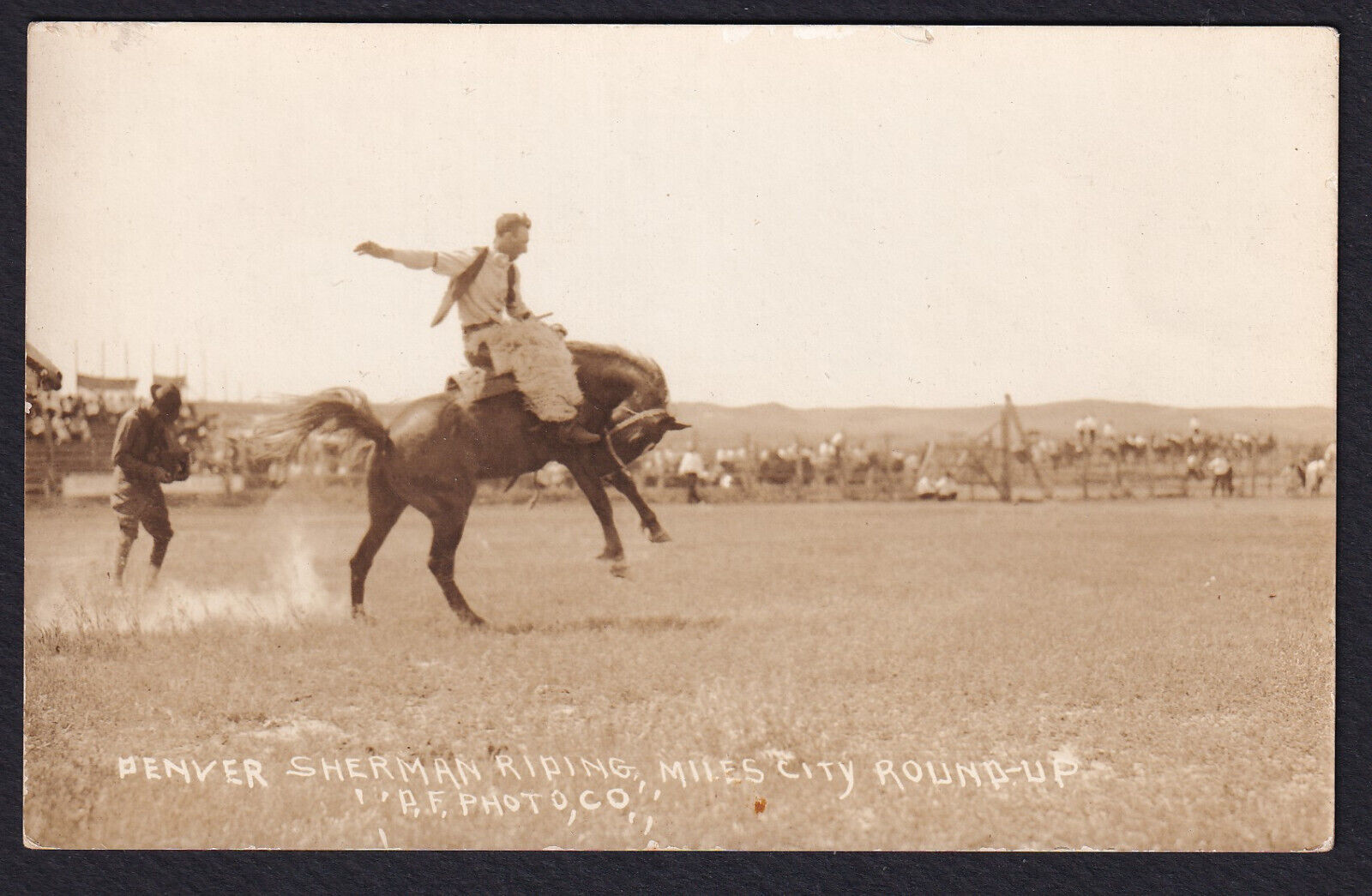 Montana-Miles City Roundup-Rodeo-Denver Sherman Riding-A.F. Photo Postcard