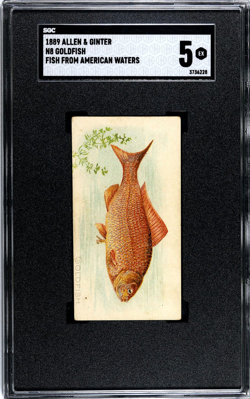 1889 N8 Allen & Ginter Goldfish 50 Fish From American Waters SGC 5