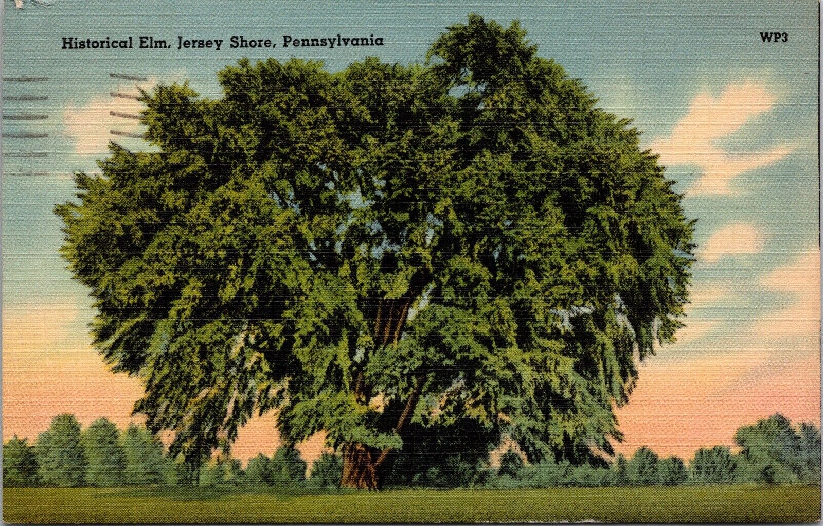 Historical Elm Jersey Shore PA Linen Postcard Revolutionary War History USA Made