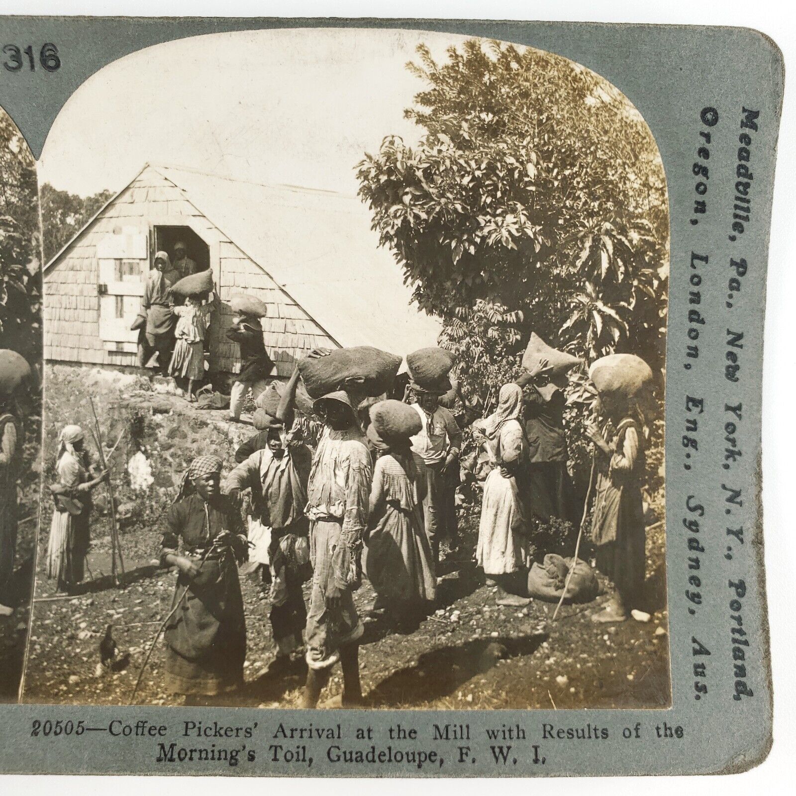 Guadeloupe Coffee Pickers Mill Stereoview c1904 Keystone France Caribbean H654