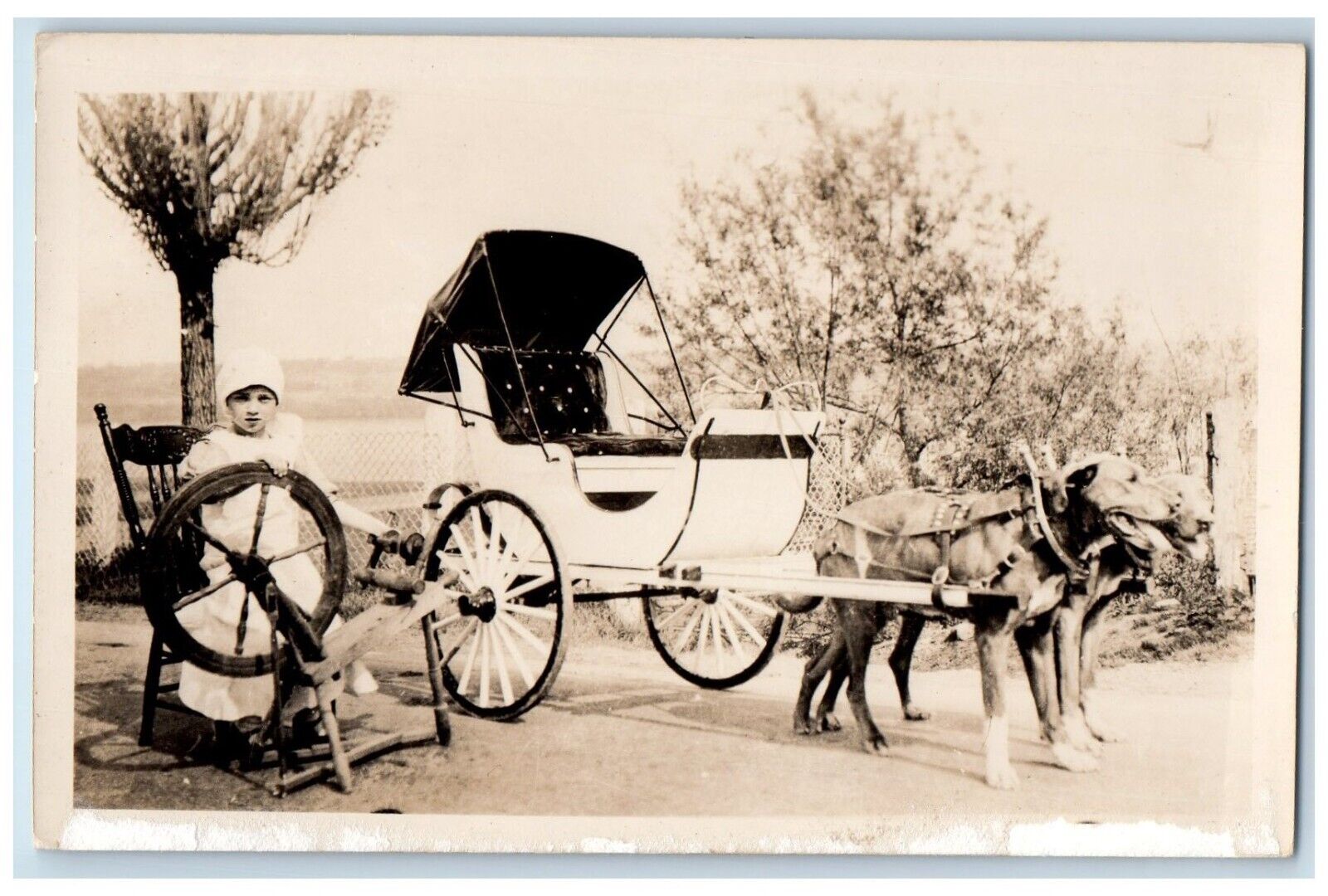 c1910 Dogs Carriage Kid Girl Spinning Wheel RPPC Unposted Photo Postcard