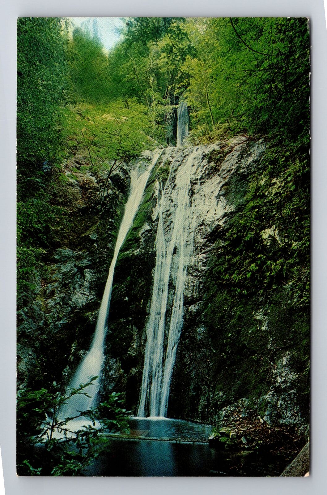 Redwood State Park CA-California, Big Sur, Pfeiffer Falls, Vintage Postcard