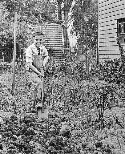 Greensborough Victoria 1936 - A boy digging in a garden Old Historic Photo
