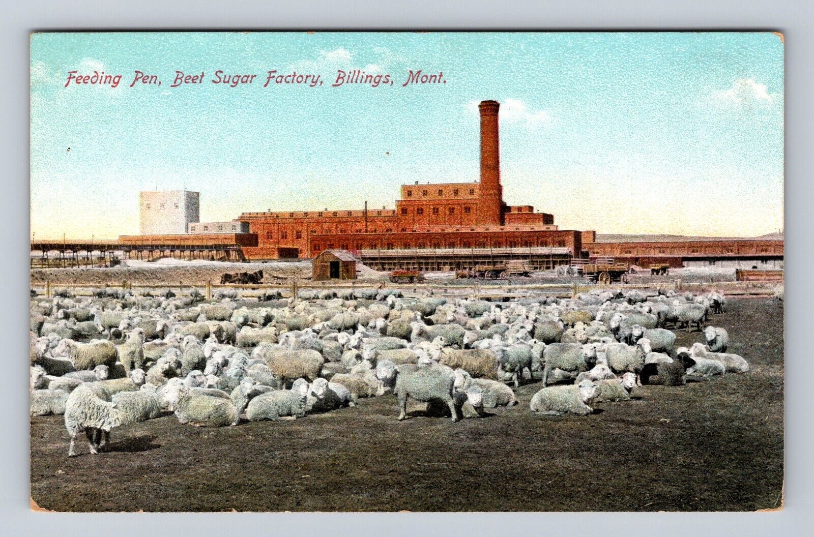 Billings MT-Montana, Feeding Pen, Beet Sugar Factory, Antique Vintage Postcard