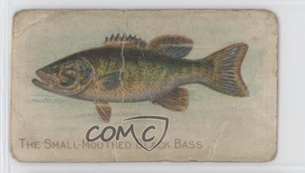 1910 ATC Fish Series Sweet Caporal Factory 25 2nd Dist VA Back 1-100 10or