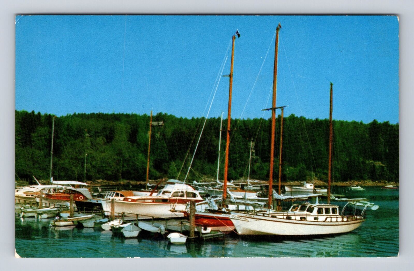 Mount Desert Island ME-Maine, Northeast Harbor Marina, Antique Vintage Postcard