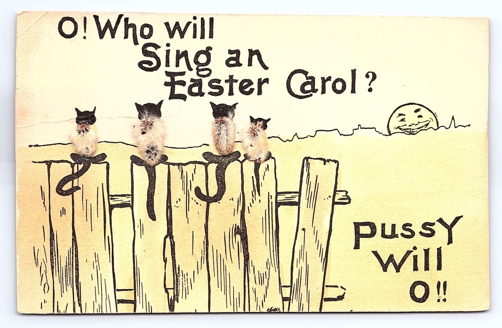 Postcard O Who Will Sing An Easter Carol? Cats On Fence Embossed Pussy Willow