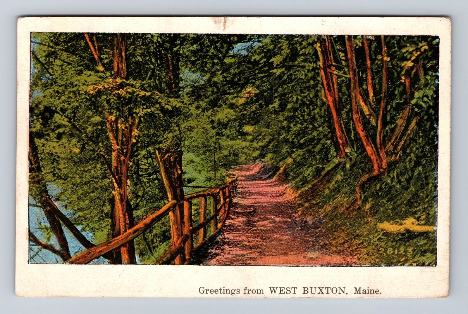 West Buxton ME- Maine, Scenic General Greetings Path, Vintage c1934 Postcard