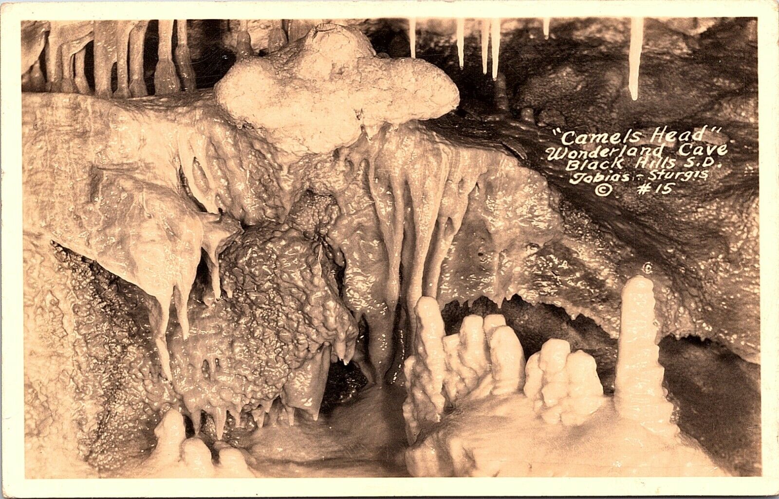 Postcard SD RPPC Camel Head Wonderland Cave Black Hills S Dakota Tobias-Sturgis