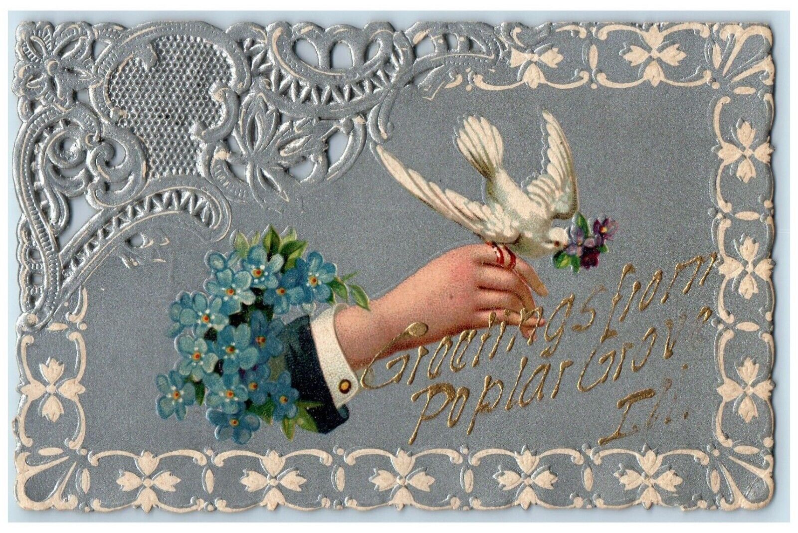 c1910 Greetings From Dove Embossed Glitter Hand Poplar Grove Illinois Postcard