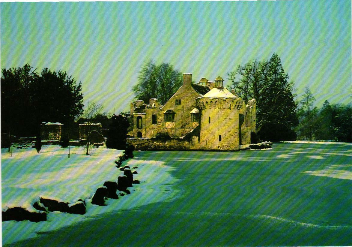 Winter Scene Scotney Castle Garden Kent England Postcard