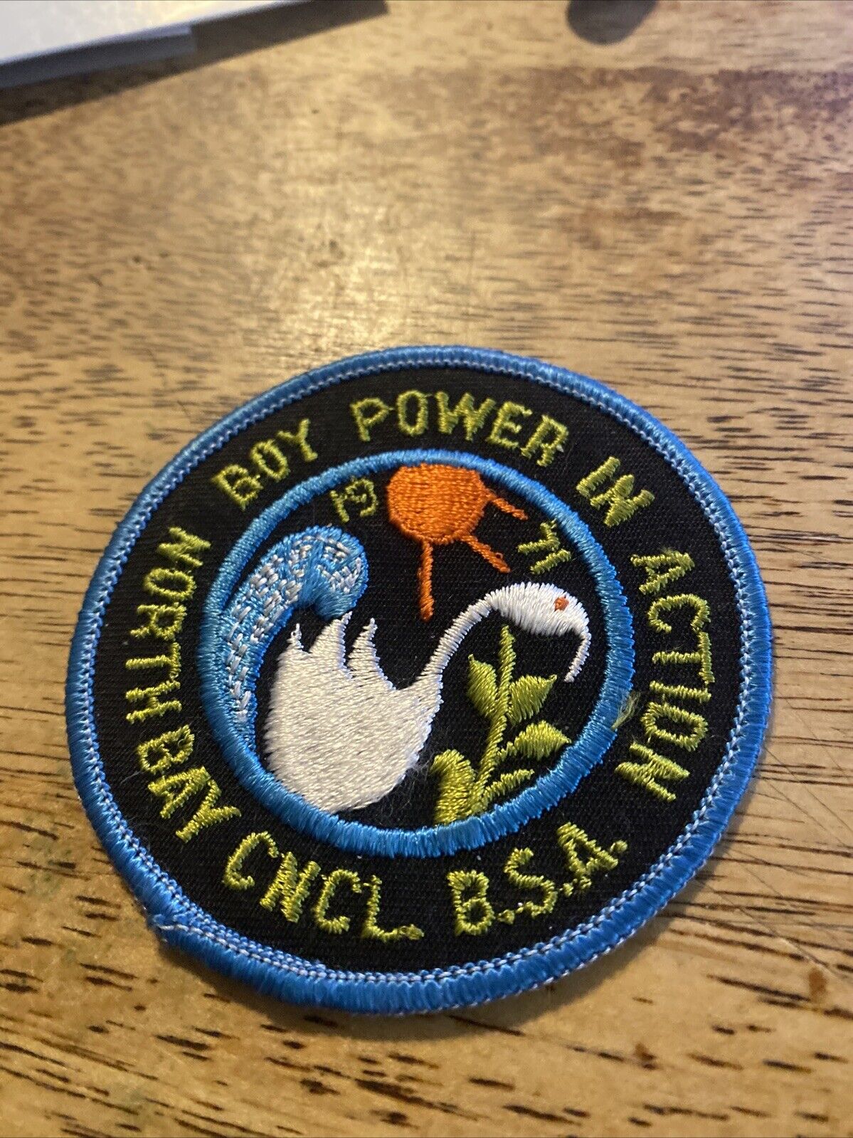 1971 North Bay Council Boy Power in Action  BSA Boy Scouts 64B-1103G