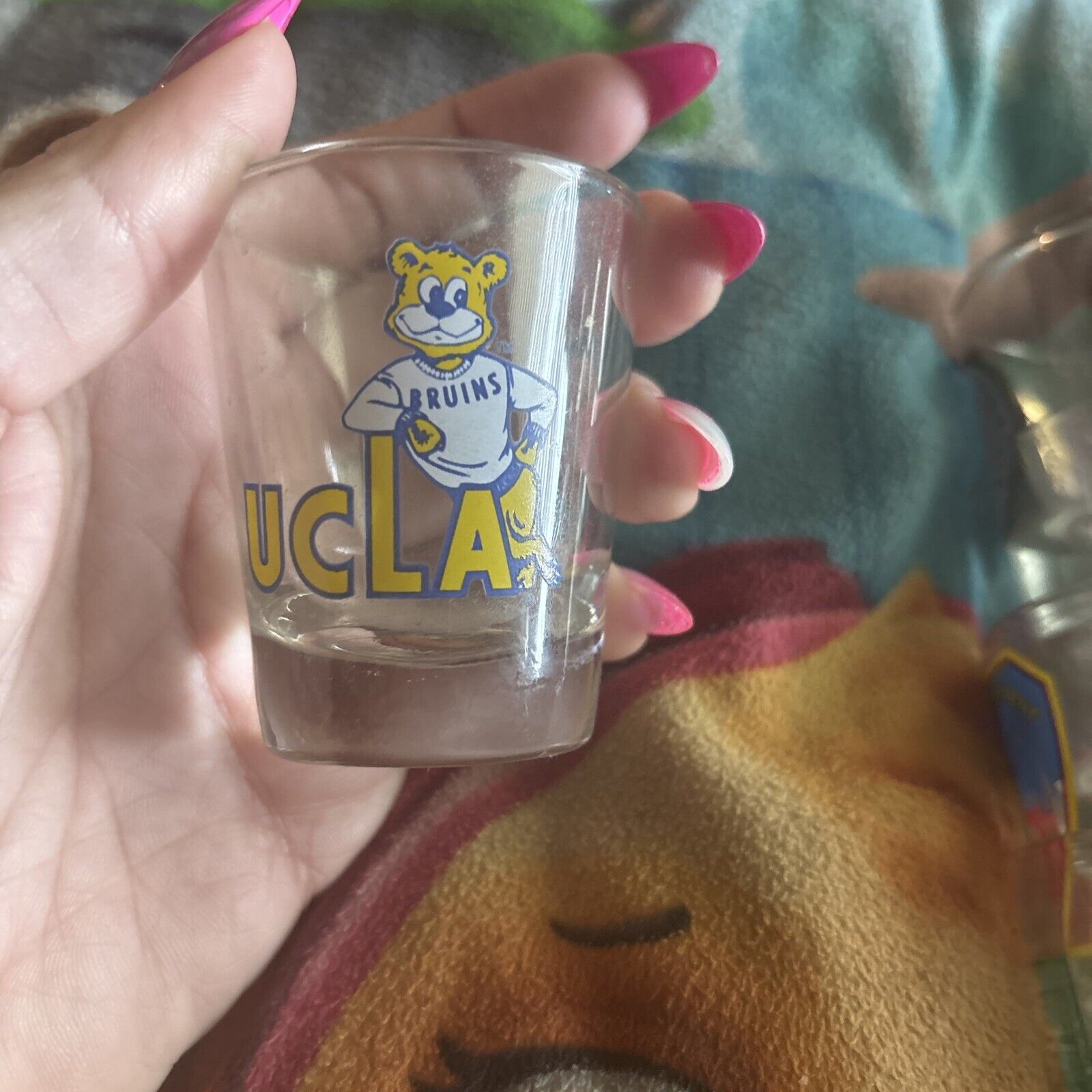 UCLA Bruins Shot Glass