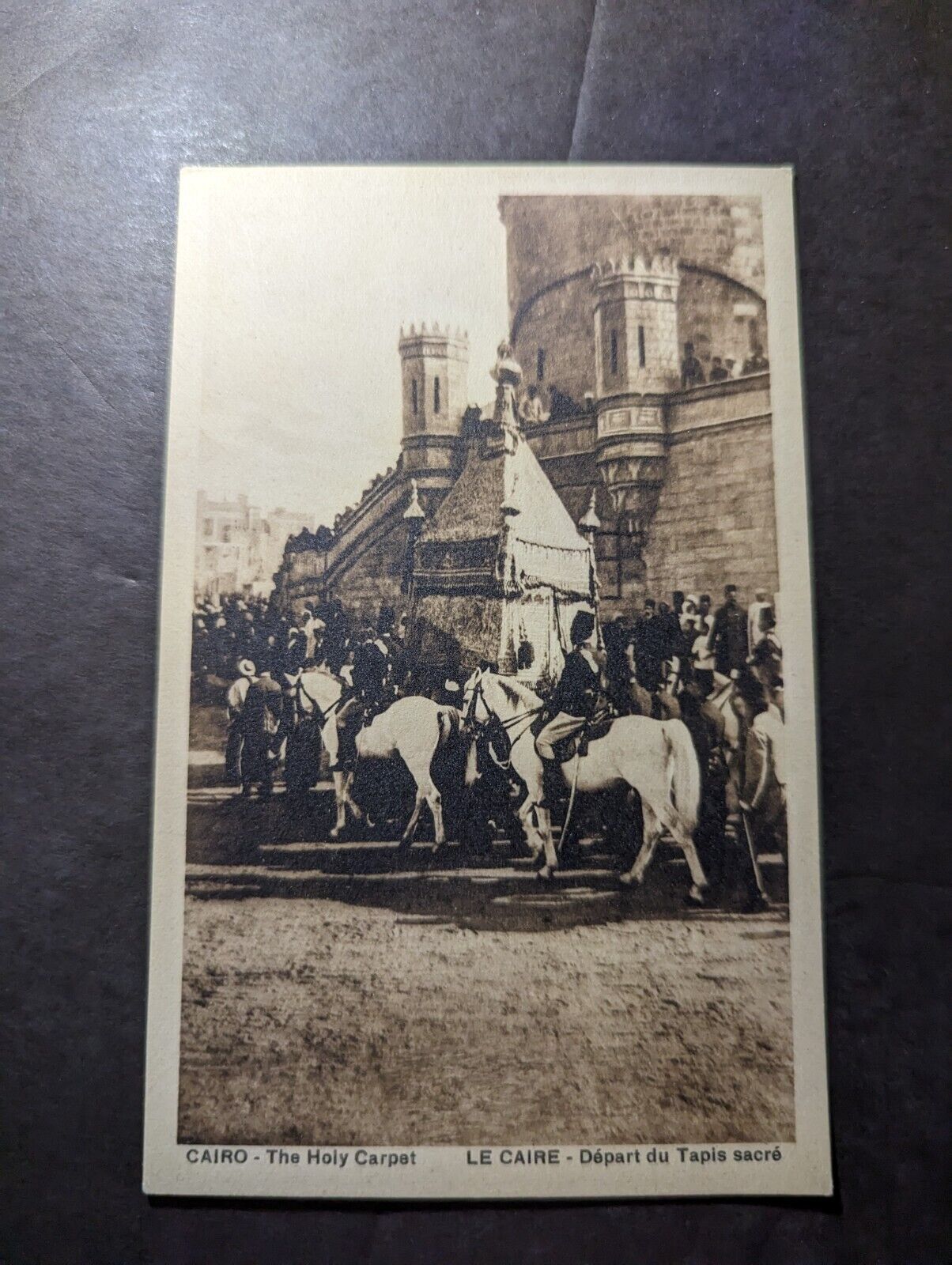 Mint British Egypt English Postcard Cairo The Holy Carpet Horses