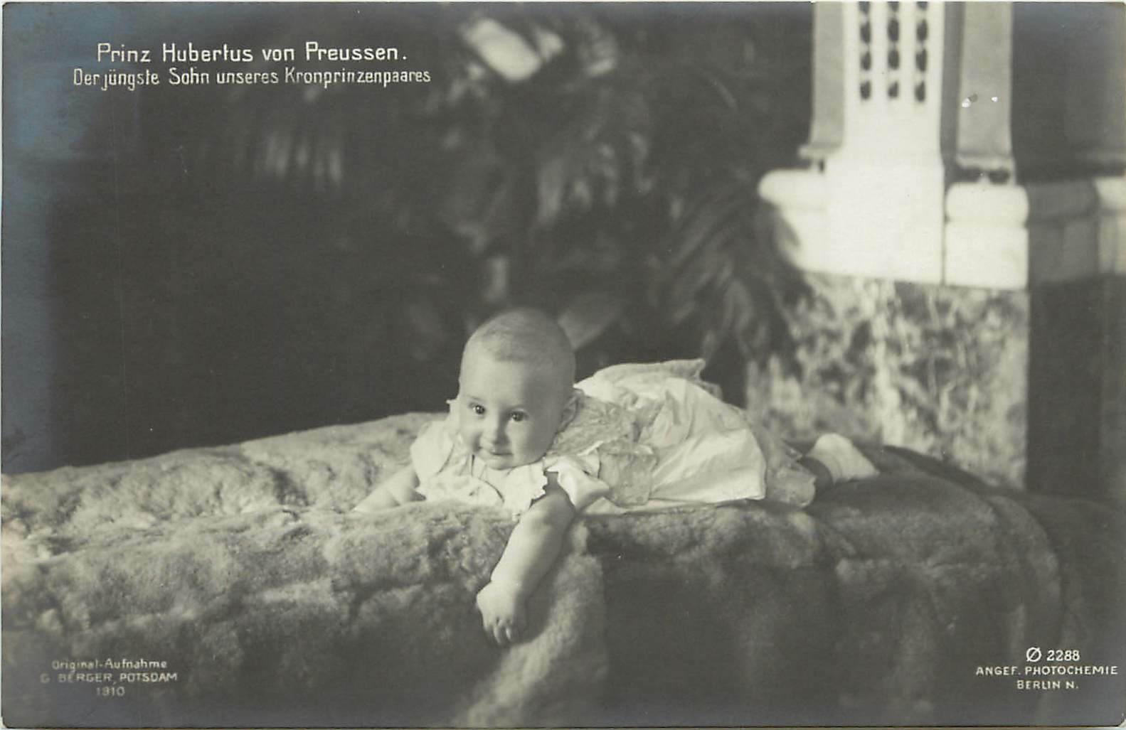 German Royalty RPPC 2288 Baby Prince Hubertus of Prussia on Fur Rug, Unposted