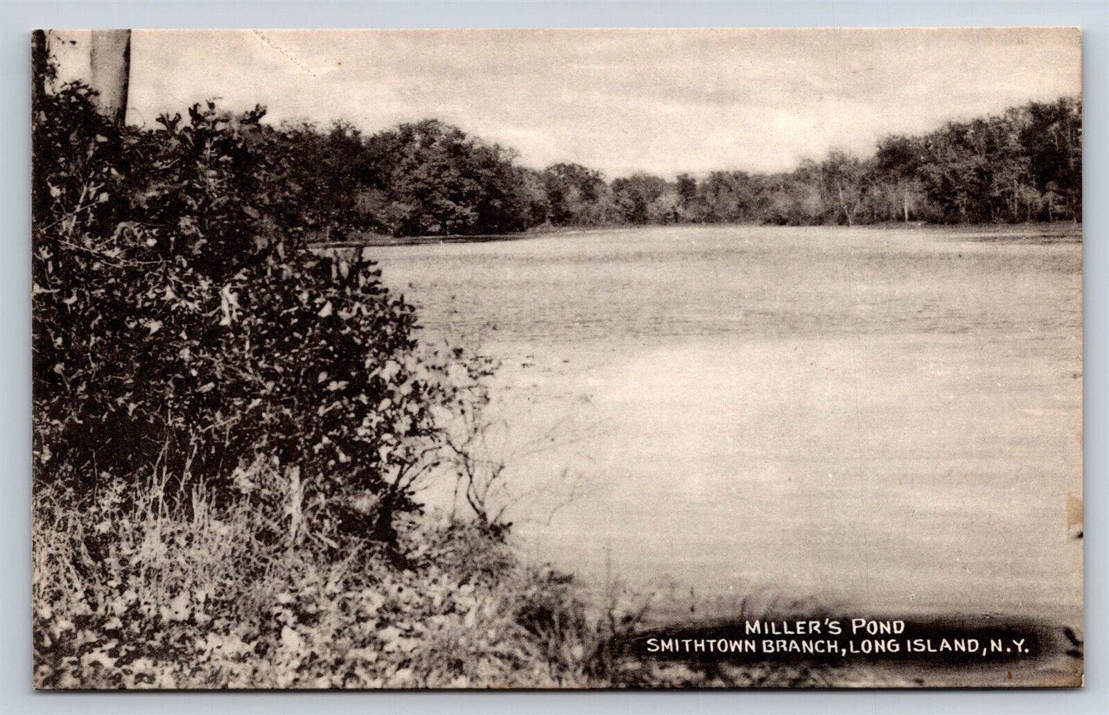 Postcard NY Smithtown Branch LI New York Miller\'s Pond AT12