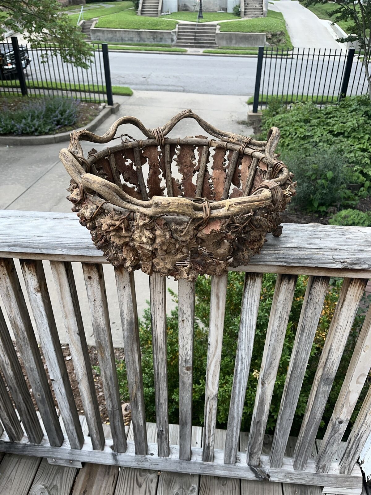 Antique Adirondack Grapevine Cypress Root Cottage Basket