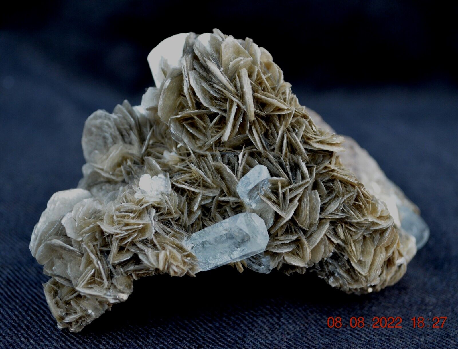 AQUAMARINE BERYL var. GOSHENITE crystals in MUSCOVITE_644g magnificent specimen
