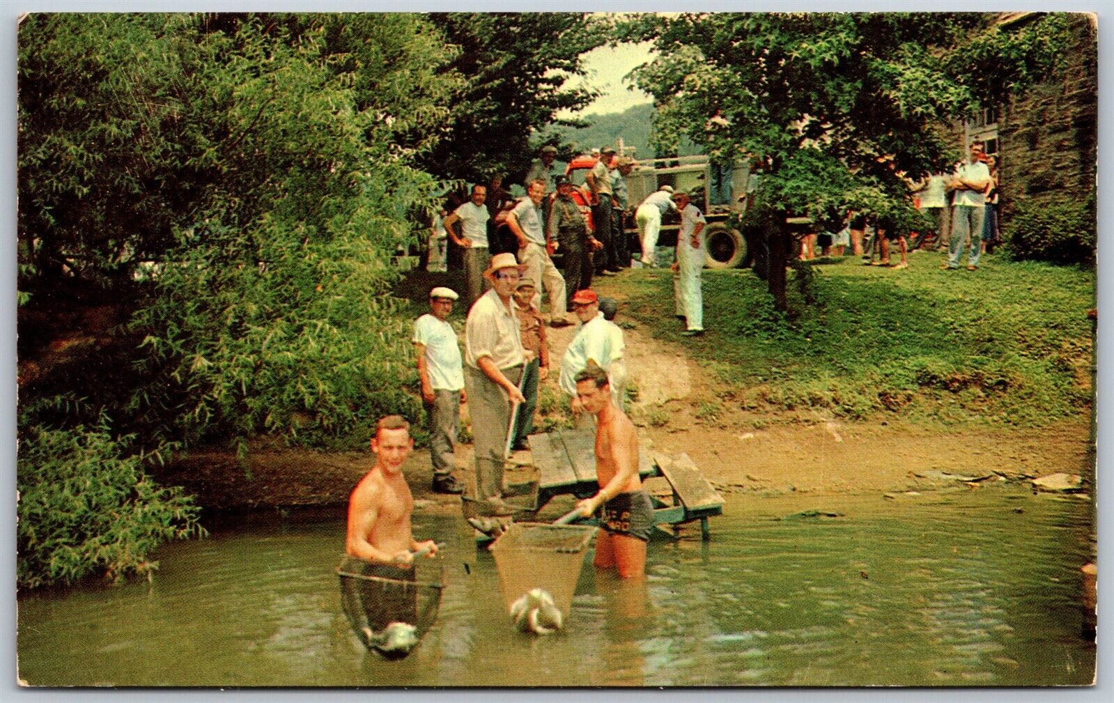 Vtg Pittsburgh Pennsylvania PA Stocking North Park Lake With Fish 1960s Postcard