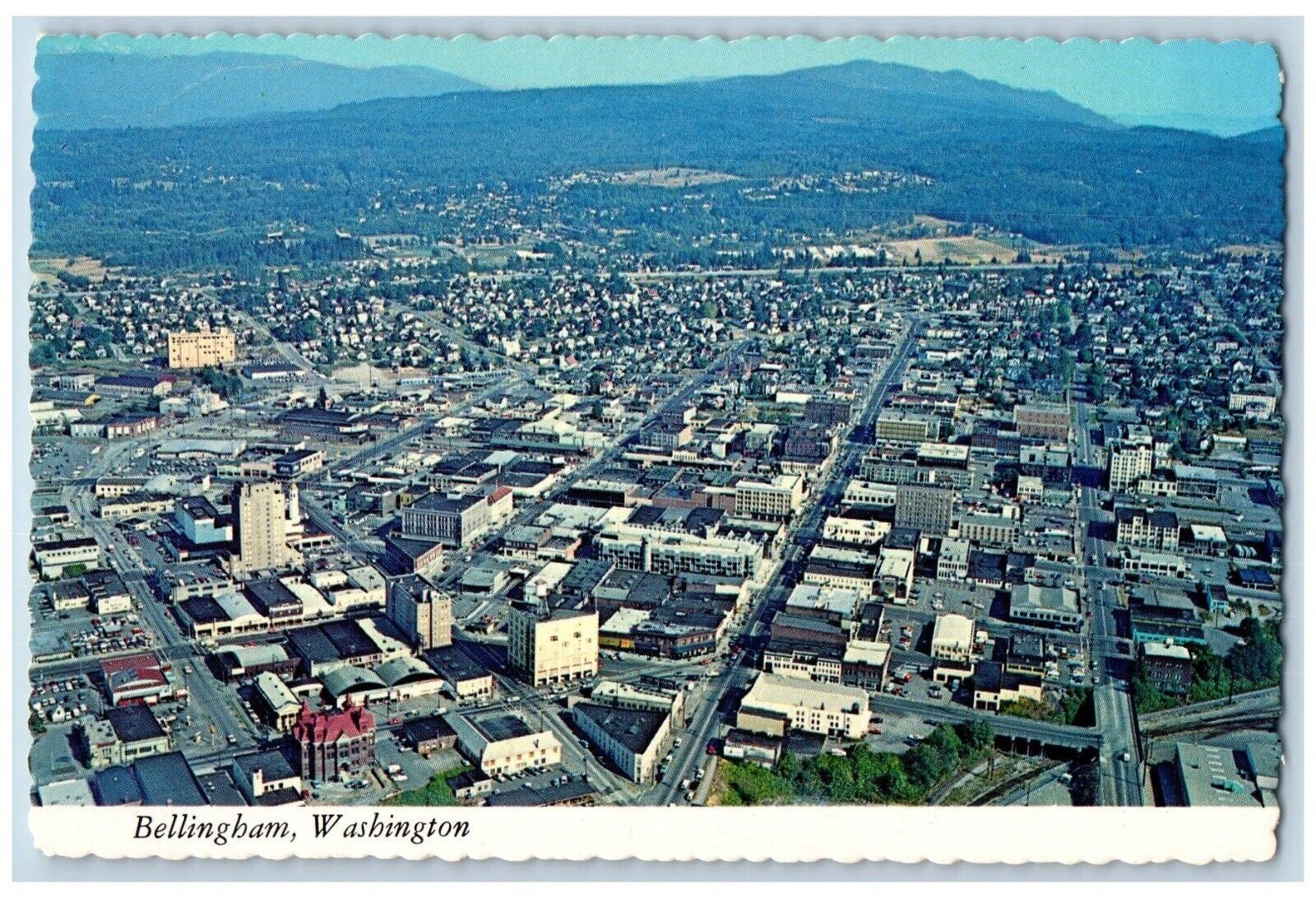 Bellingham Washington Postcard Aerial View Metropolitan Business District c1960