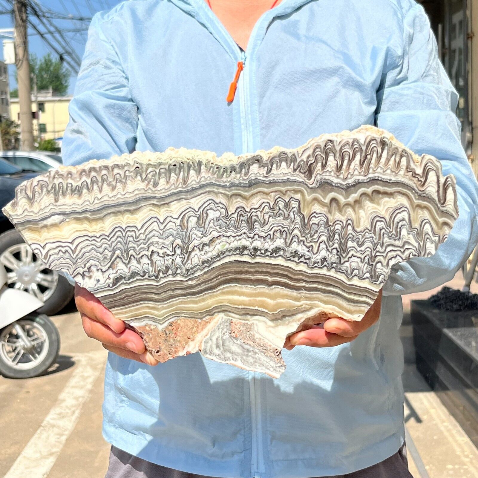 1590g Large Natural Banding Zebra Calcite Polished Slab Crystal Reiki Healing