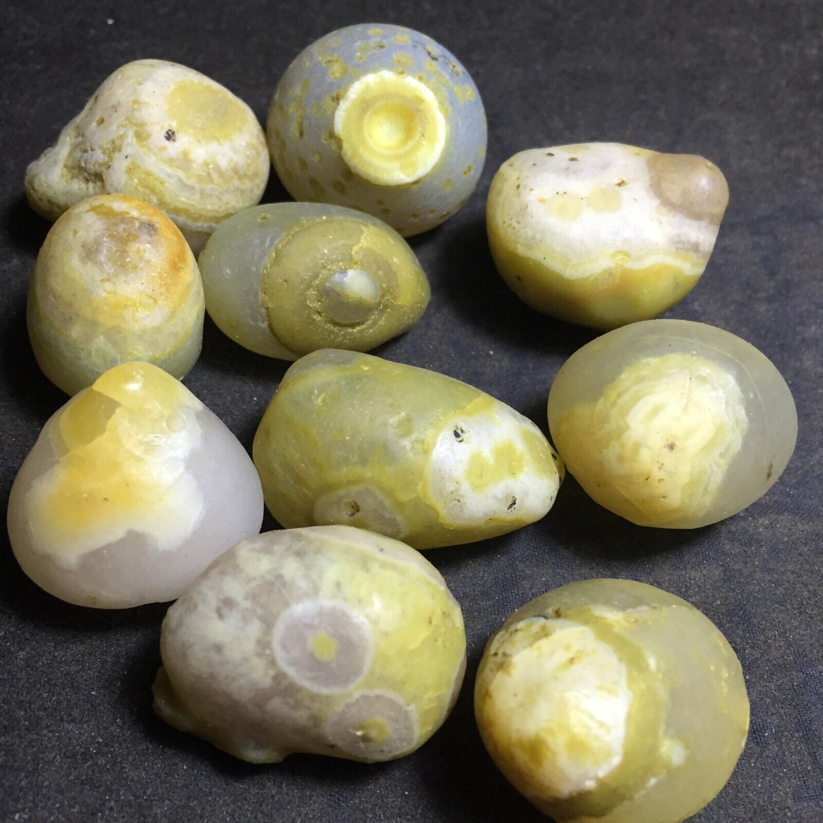 151g  Bonsai Suiseki-Natural Gobi Agate Eyes Stone-Rare Stunning Viewing 85
