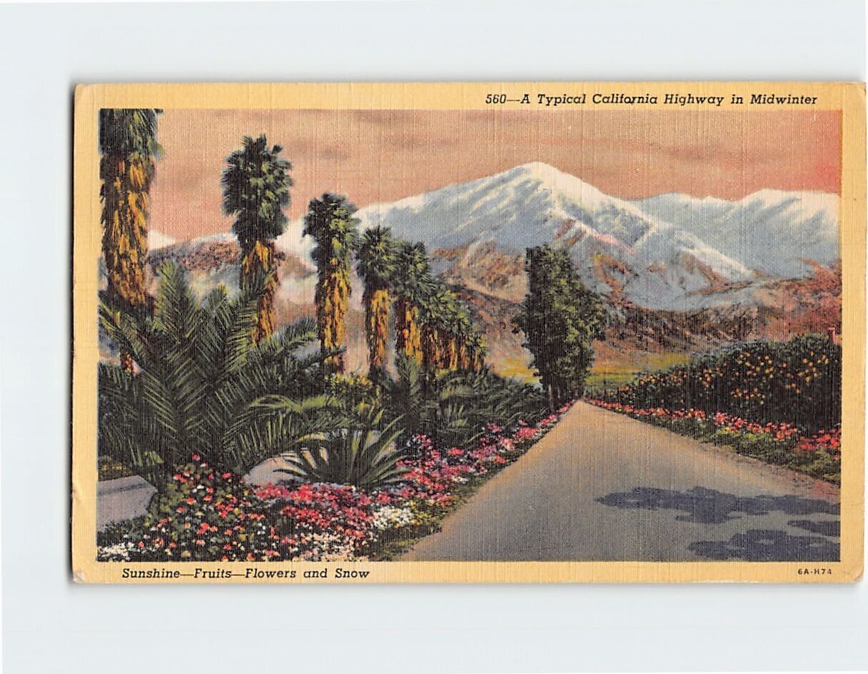 Postcard Sunshine Fruits Flowers & Snow Typical California Highway in Midwinter