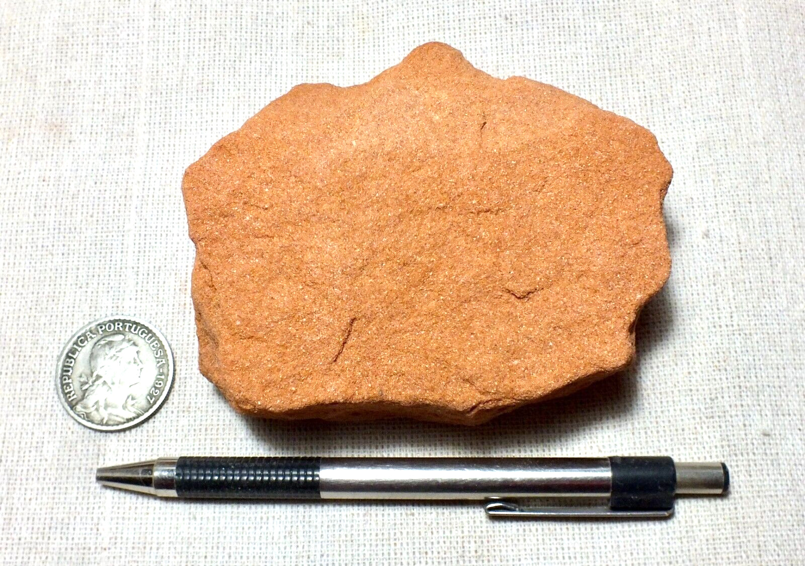 sandstone - Navajo Sandstone - hand specimen of an aeolian sandstone