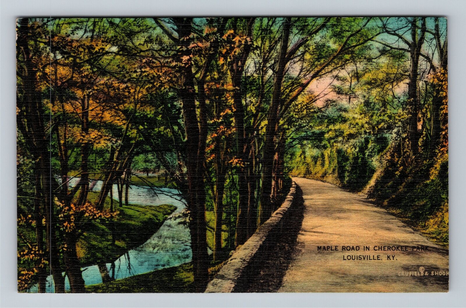 Louisville KY-Kentucky, Maple Road In Cherokee Park, c1941 Vintage Postcard