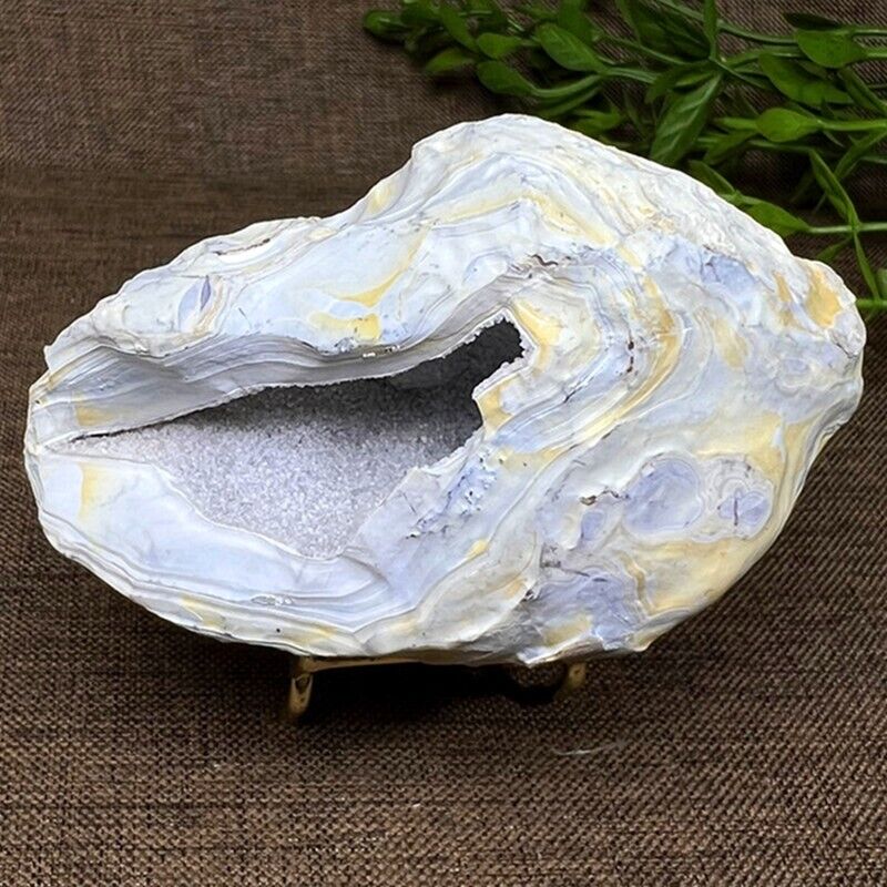 138g Top Natural Shell agate and geode agate Quartz Crystal  Mineral Specimen
