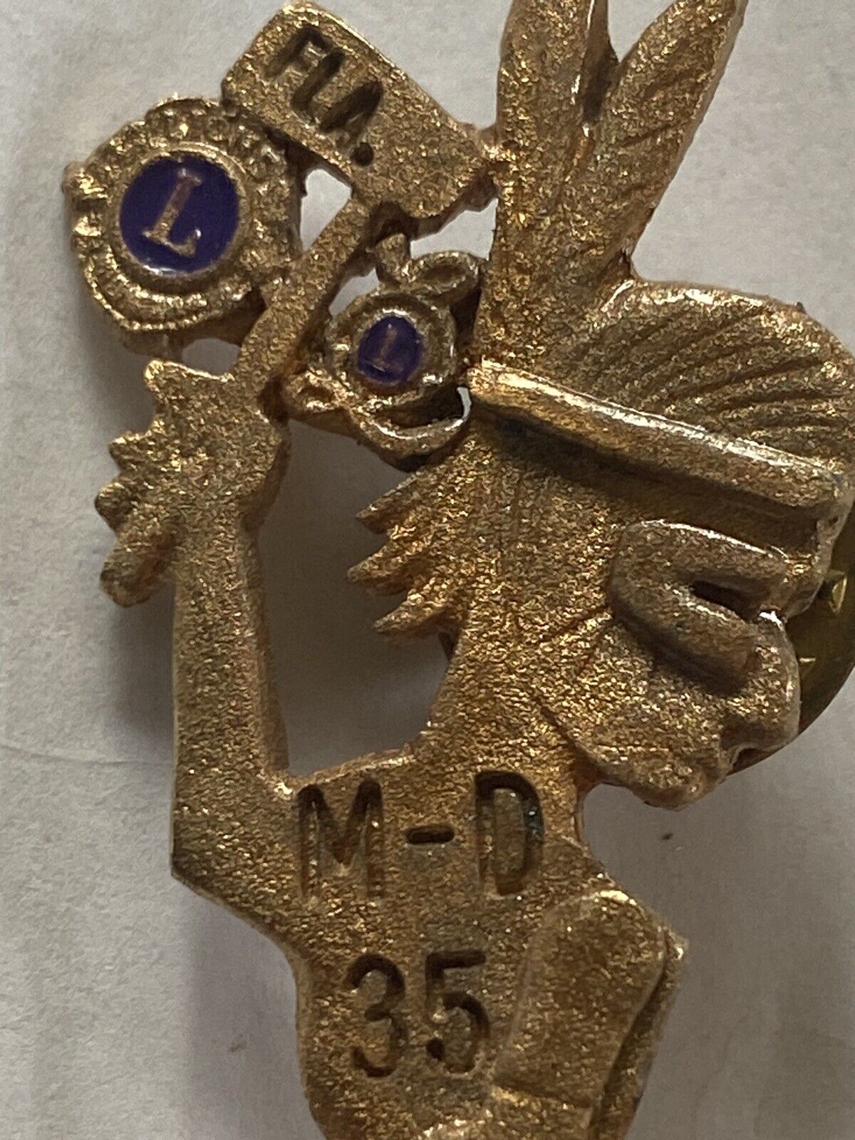 1991 Florida MD 35 Native American Lions Club Pin