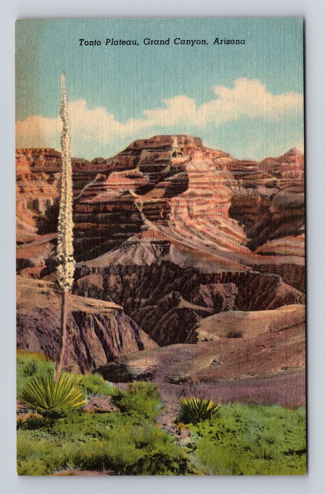 Grand Canyon National Park, Tonto Plateau, Vintage Souvenir Postcard
