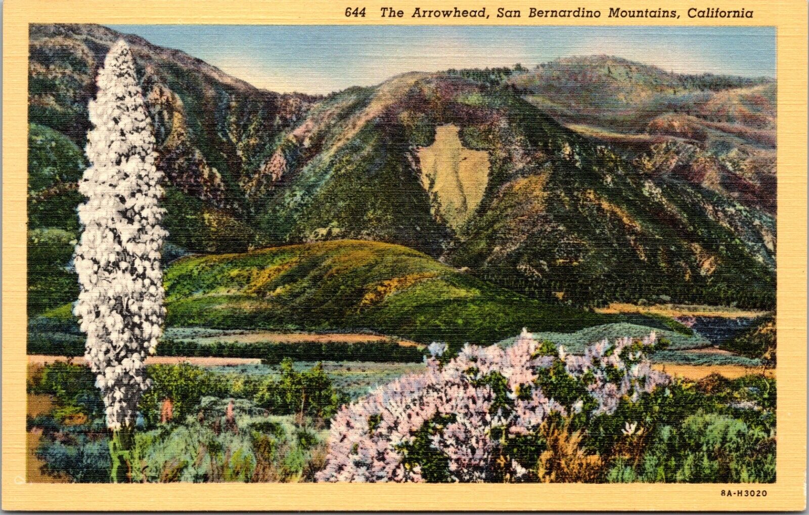 Postcard San Bernardino Mountains CA The Arrowhead landmark 