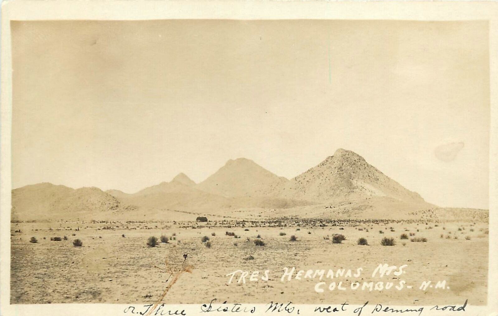 Postcard RPPC 1920s New Mexico Columbus Tres Hermanas Mountains NM24-1105