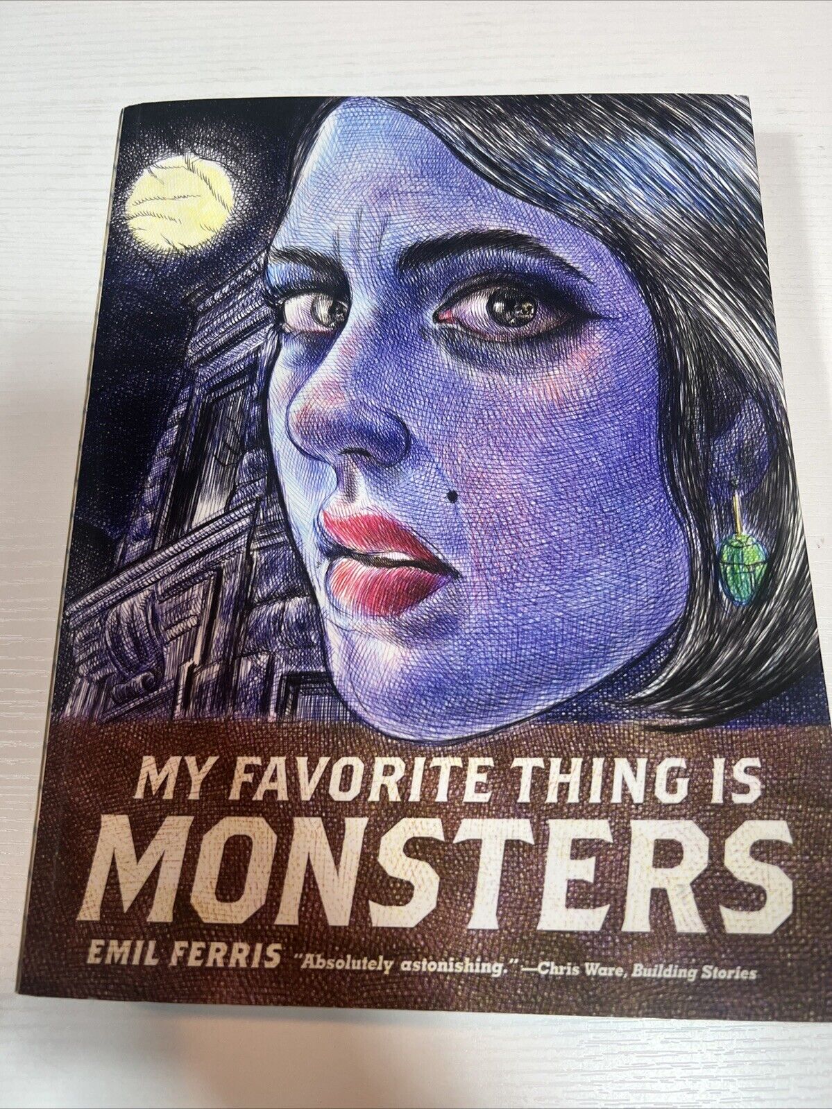 My Favorite Thing is Monsters by Emil Ferris (English) Paperback Book