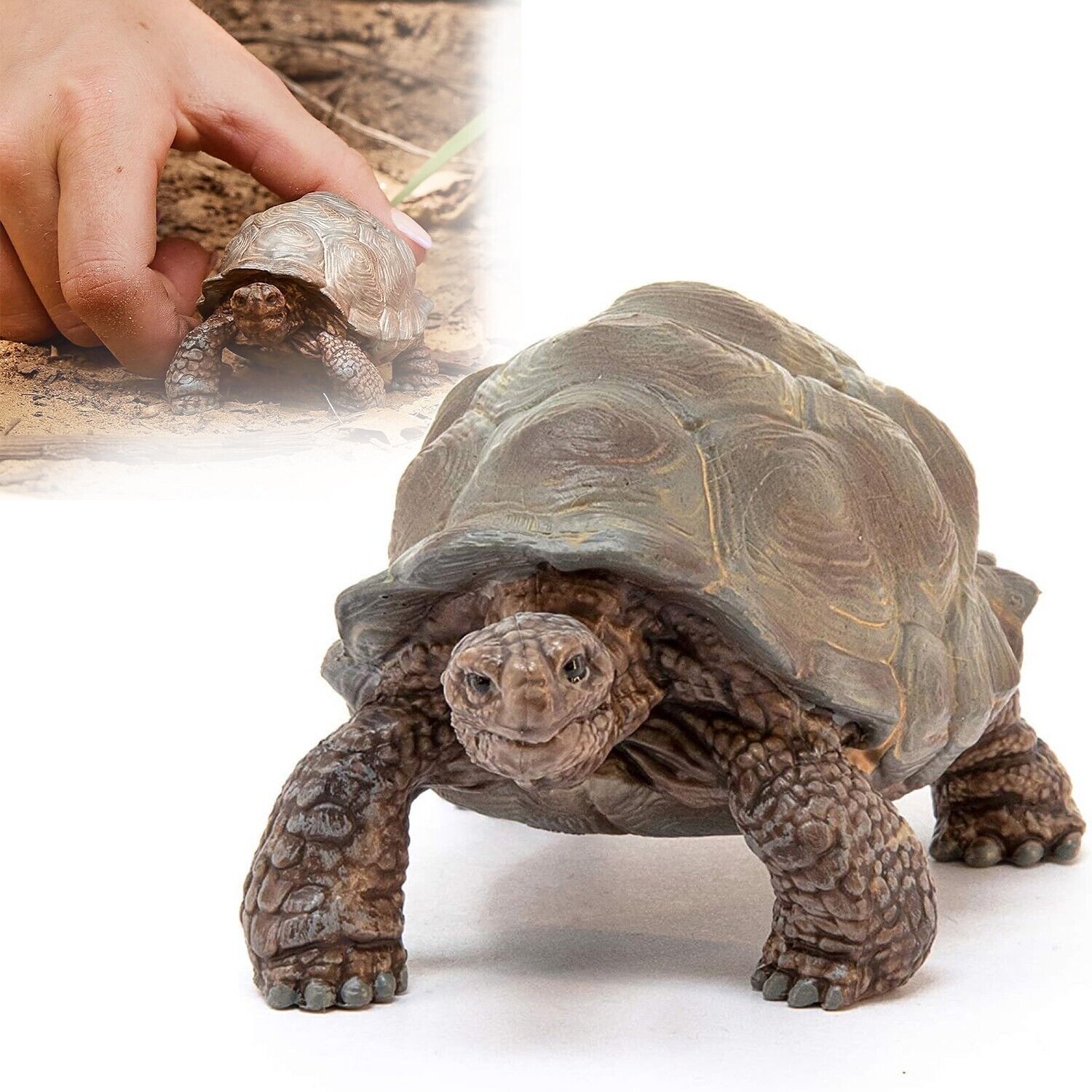 Tortoise Figurine Turtle Home Decor Toy WIld Animal Mini Realistic Surprise 3\