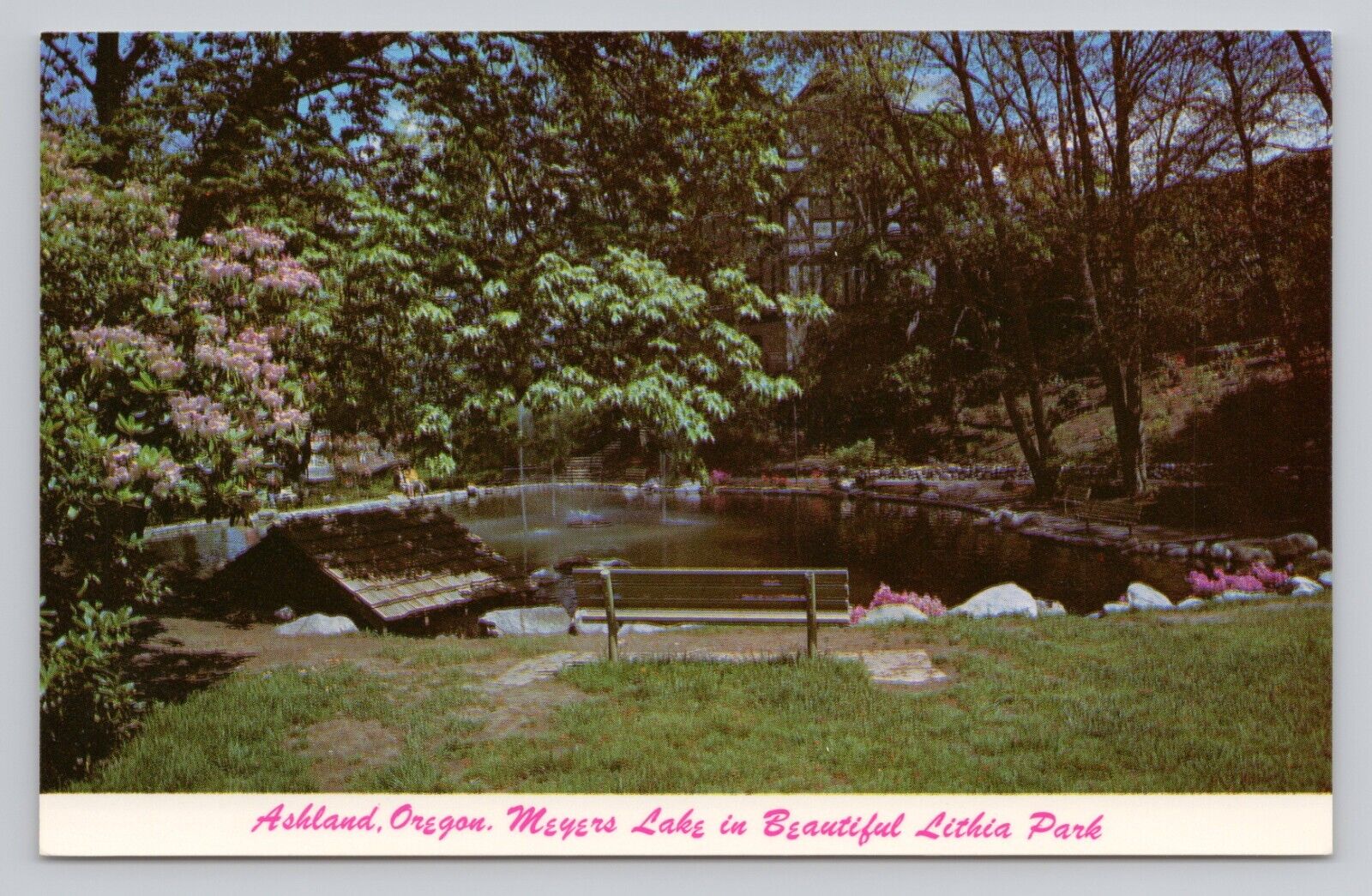 Meyers Lake in Beautiful Lithia Park Ashland, Oregon Postcard
