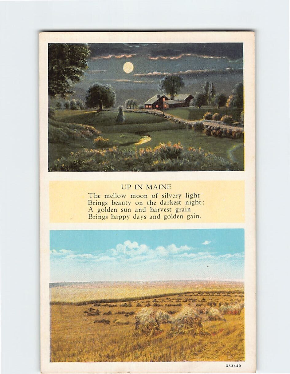 Postcard Up in Maine Poem Countryside & Nature Scene Maine USA