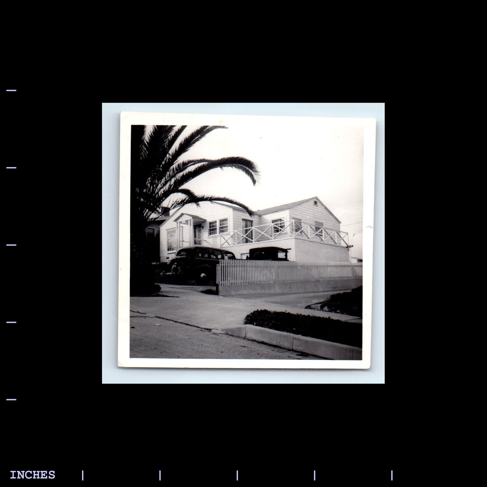 Vintage Square Photo HOUSE AND CLASSIC CAR IN DRIVEWAY PICKET FENCE PALM TREE