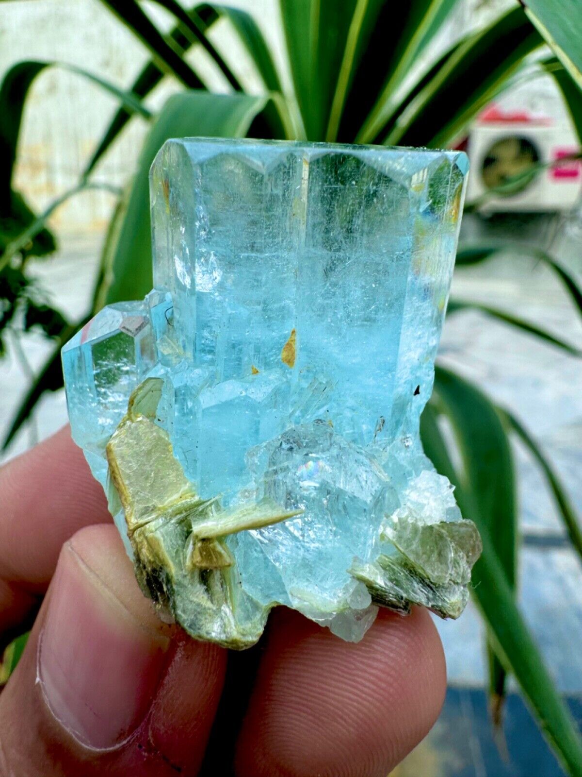 185 Carat Transparent Blue Aquamarine Crystal With Muscovite @ Mineral Specimens