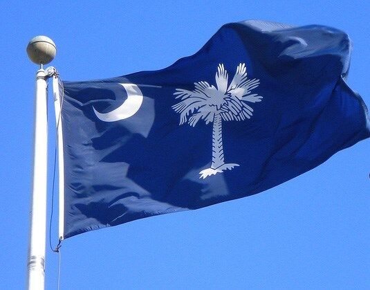 SOUTH CAROLINA STATE OF FLAG NEW 3x5ft DOUBLE SIDED better quality usa seller