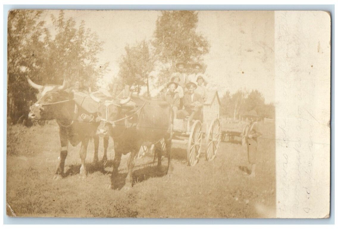 1909 Family On Wagon With Oxen Clam Falls Wisconsin WI RPPC Photo Postcard