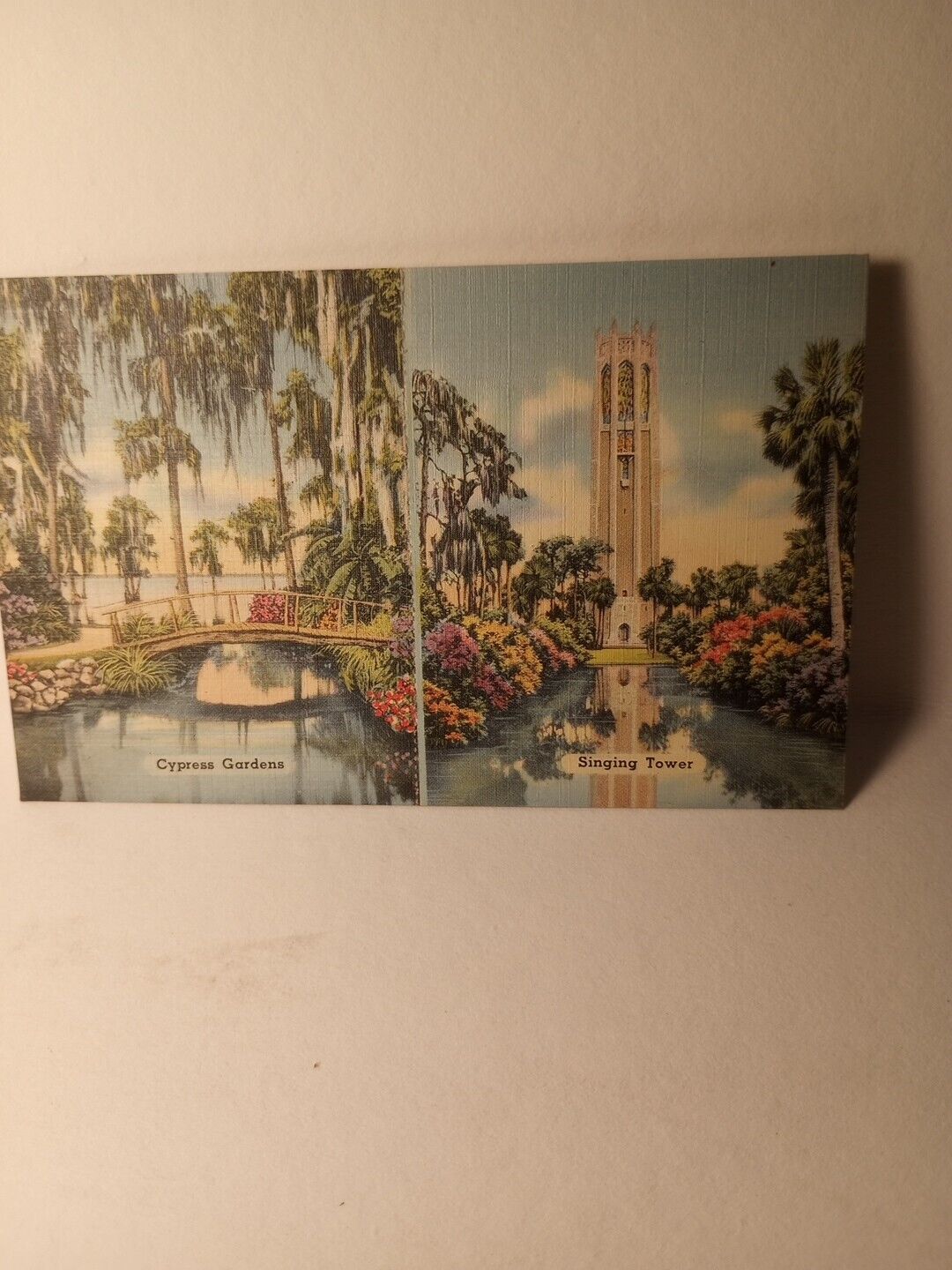 Cyprus Garden Florida Tourist Card Vintage 5.5 X 3.5