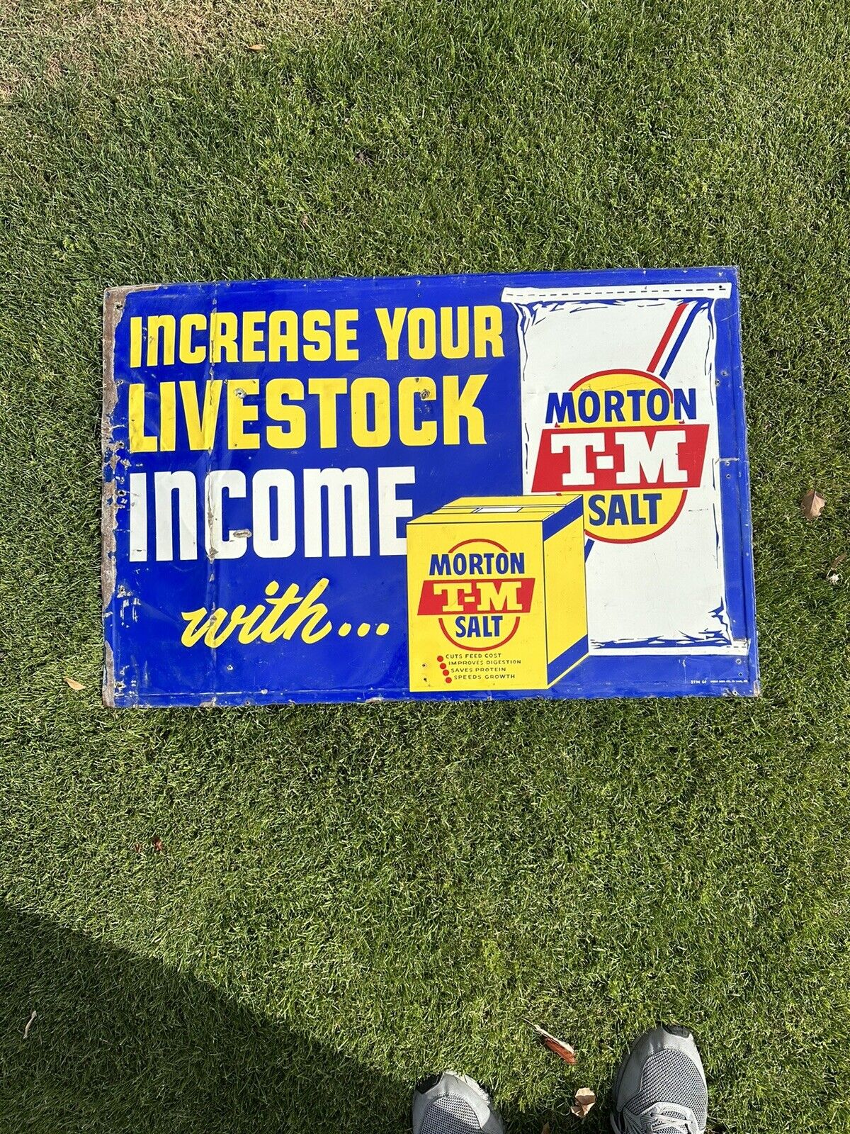 Original Vintage Morton Salt Increase Your Livestock Income W/ T-M Morton Salt