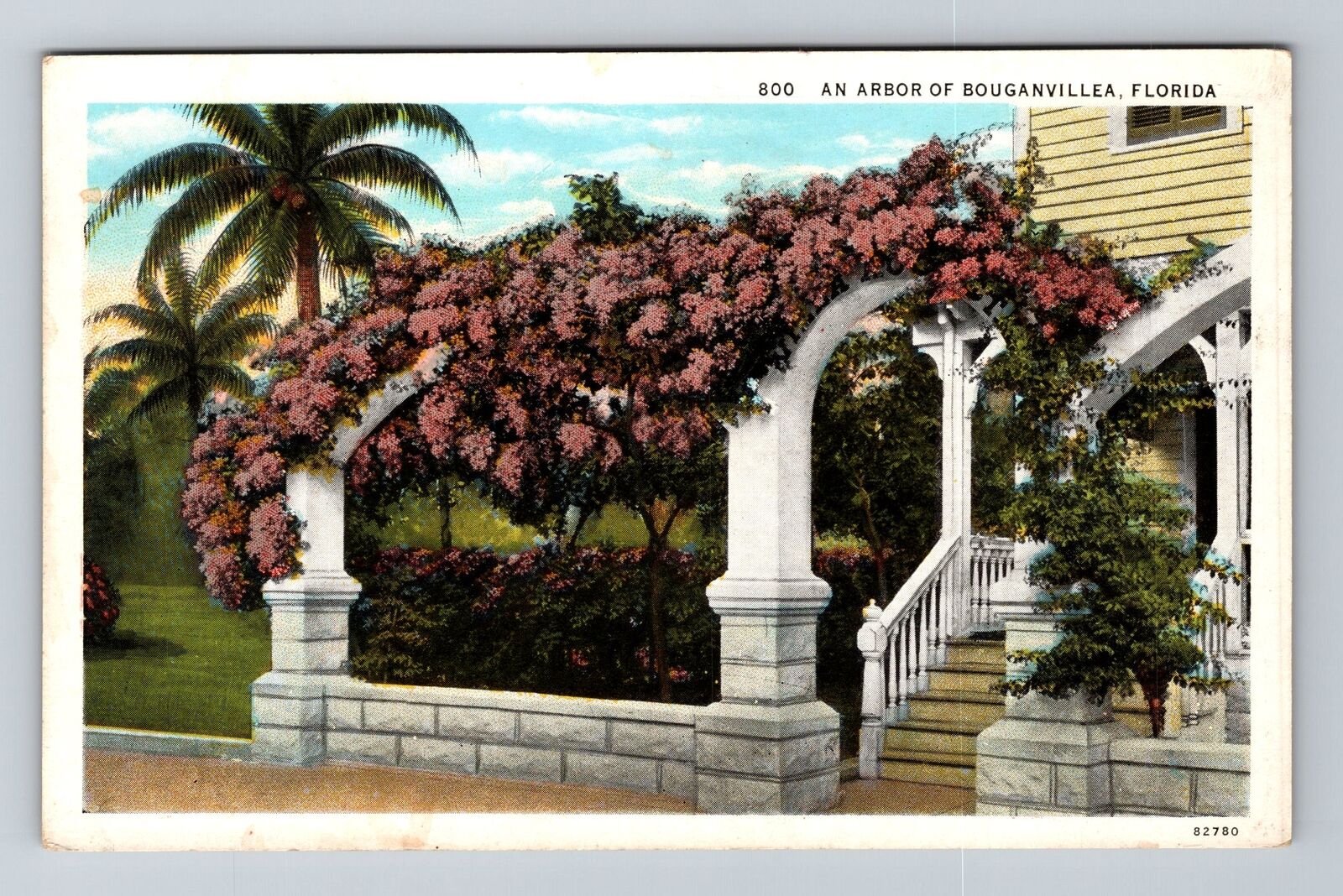FL-Florida, An Arbor Bougainvillea, Vintage Postcard